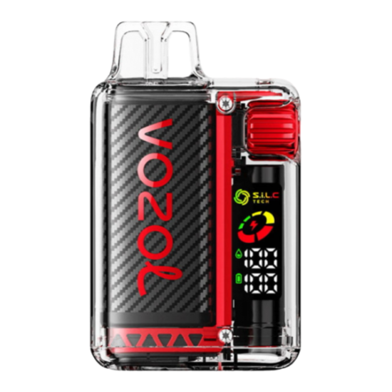 Vozol Vista 16000 Raspberry Watermelon